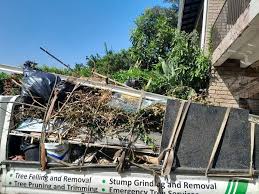 Best Attic Cleanout  in Parker, CO